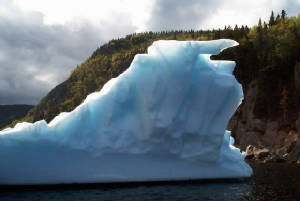iceberg1.jpg